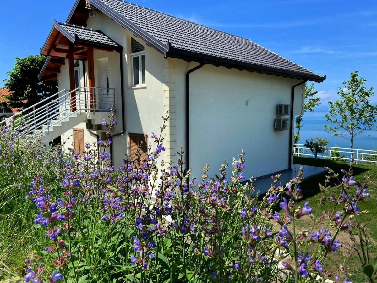 Xhuli Guesthouse شكودر المظهر الخارجي الصورة