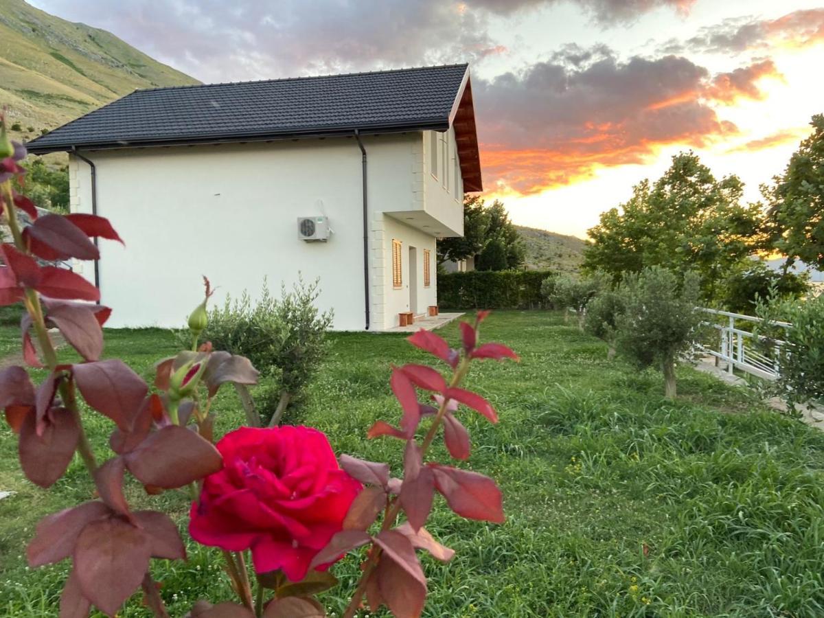 Xhuli Guesthouse شكودر المظهر الخارجي الصورة