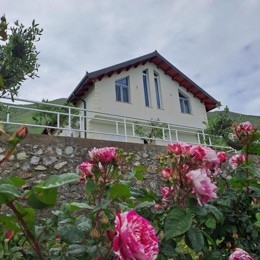 Xhuli Guesthouse شكودر المظهر الخارجي الصورة